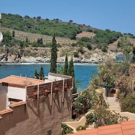 Studio Acces Direct A La Plage Баніюль-сюр-Мер Екстер'єр фото